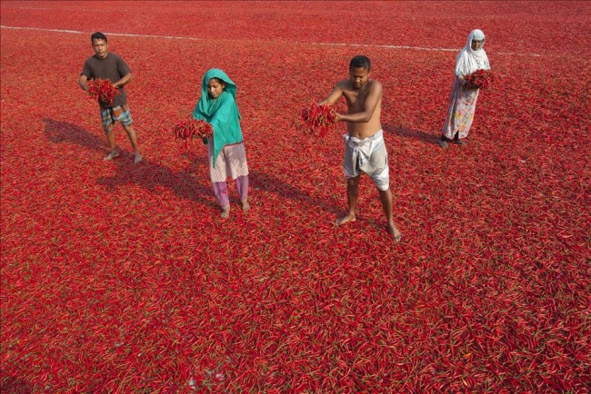 Bangladeş'te zor üretim 5
