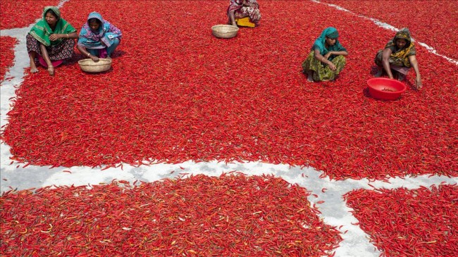 Bangladeş'te zor üretim 6