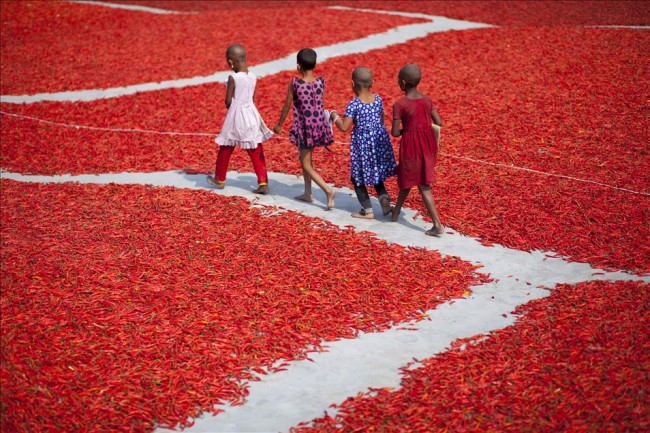 Bangladeş'te zor üretim 7