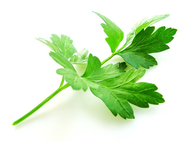 Maydanozun bilmediğiniz yararları 6