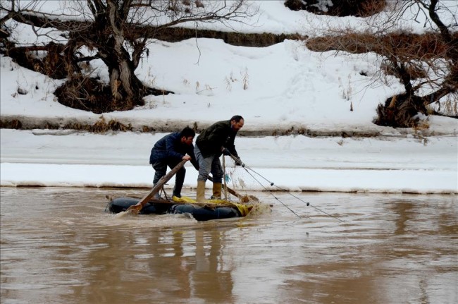 Aras Nehri'nde sezonun ilk balık avı 2