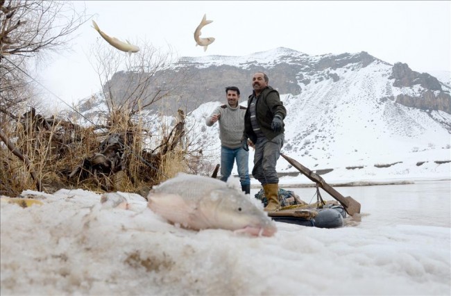 Aras Nehri'nde sezonun ilk balık avı 5