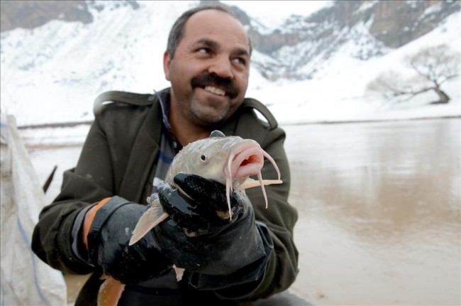 Aras Nehri'nde sezonun ilk balık avı 6