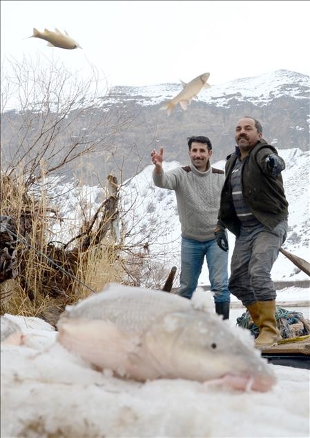 Aras Nehri'nde sezonun ilk balık avı 7