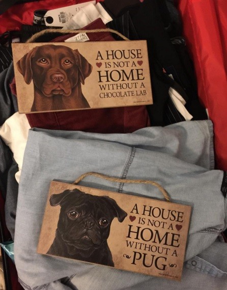 Instagram'da ünlüler - 26 Şubat Cuma 2016 8