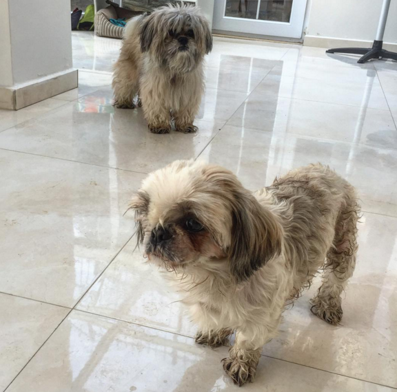 Instagram'da ünlüler - 28 Şubat Pazar 2016 9