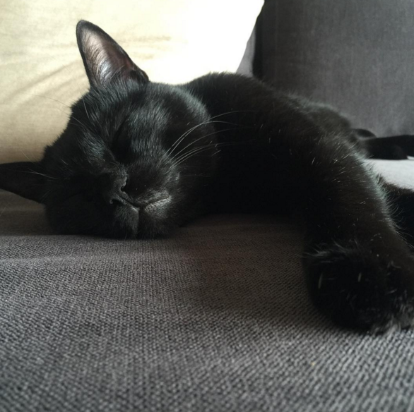 Instagram'da ünlüler - 28 Şubat Pazar 2016 14