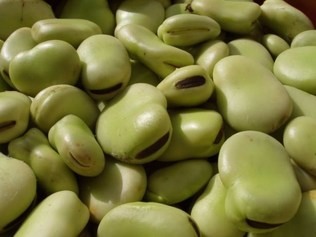 Mart ayında bunları tüketin! 19