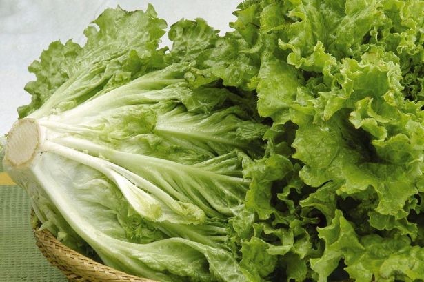 Mart ayında bunları tüketin! 23