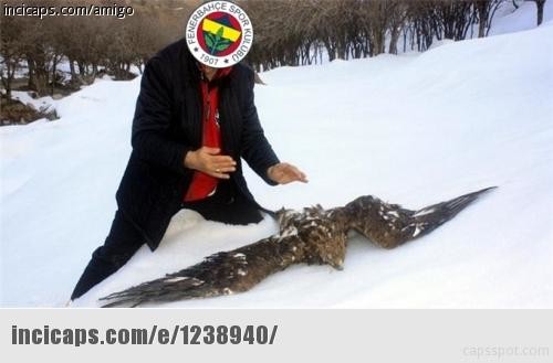 An itibariyle Beşiktaşlılar 17