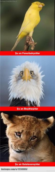 An itibariyle Beşiktaşlılar 25