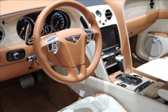 86. Cenevre Otomobil Fuarı yarın başlıyor 13