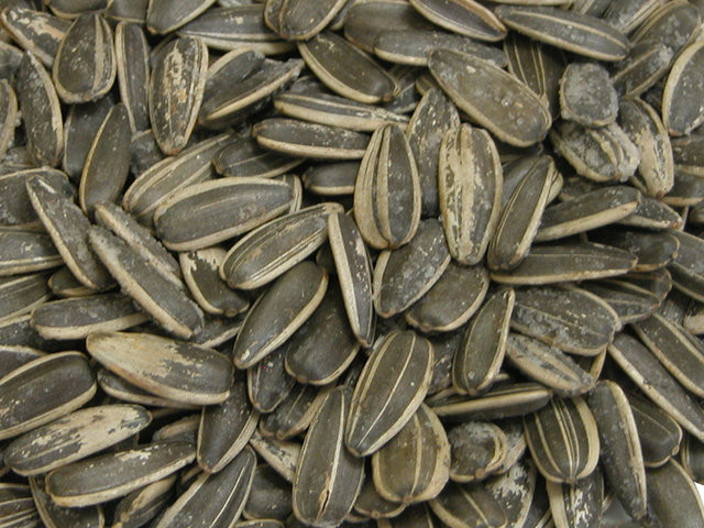 Dünyanın en sağlıklı 50 besini! 44