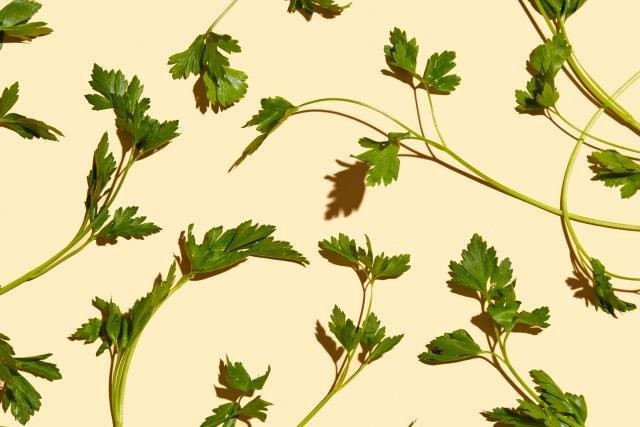 Dünyanın en sağlıklı 50 besini! 45