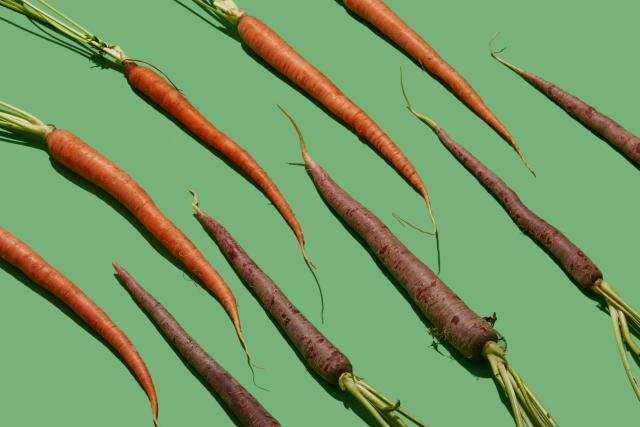 Dünyanın en sağlıklı 50 besini! 48