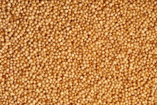 Dünyanın en sağlıklı 50 besini! 50