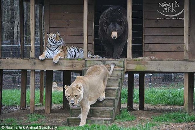 15 yıllık bitmeyen dostluk 3