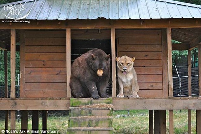 15 yıllık bitmeyen dostluk 6