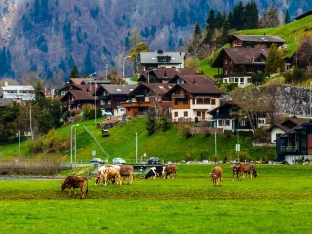 Türkiye hangi Schengen ülkelerine gitmek istiyor? 5