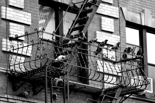 'İcat çıkarma' Bu kadınlara o kelime söylenmez 7