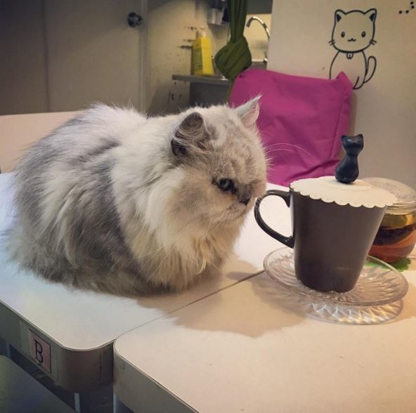 İnstagram'da Ünlüler - 23 Mart 2016 3