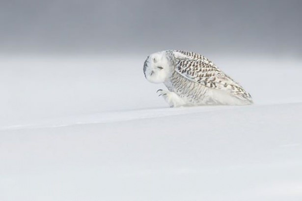 National Geographic en iyileri seçti 4