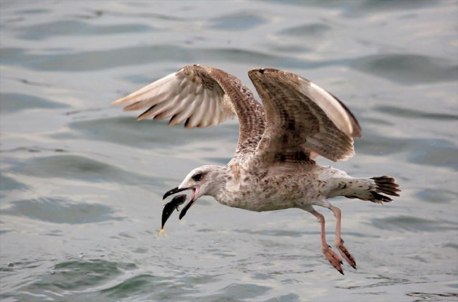 İşte TFMD Yılın basın fotoğrafları 18