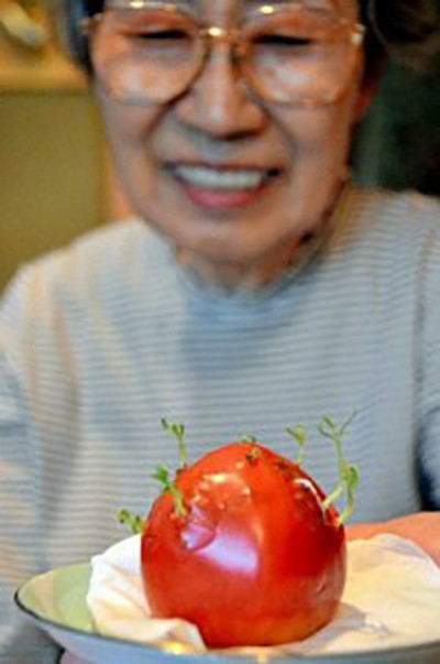 Fukuşima'nın bitkileri 2