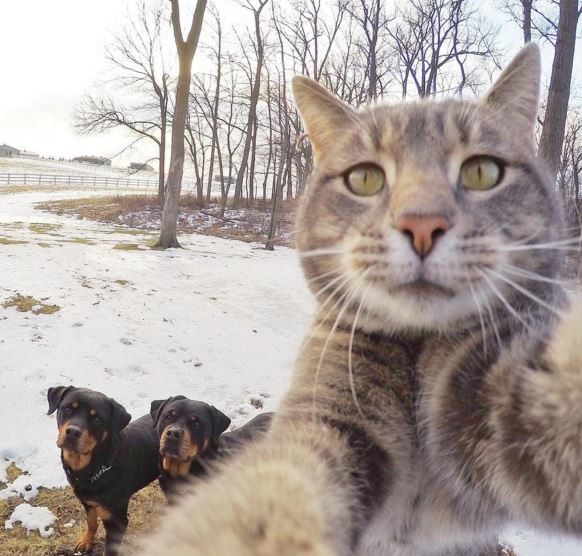 Game of Thrones'un 6.sezonundan kareler 7