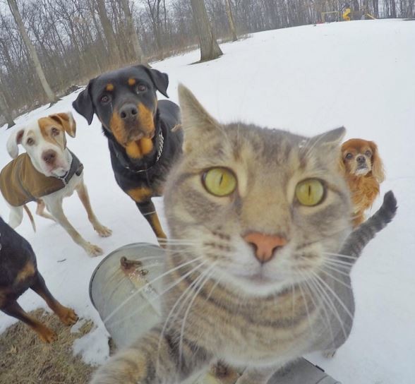 Game of Thrones'un 6.sezonundan kareler 9