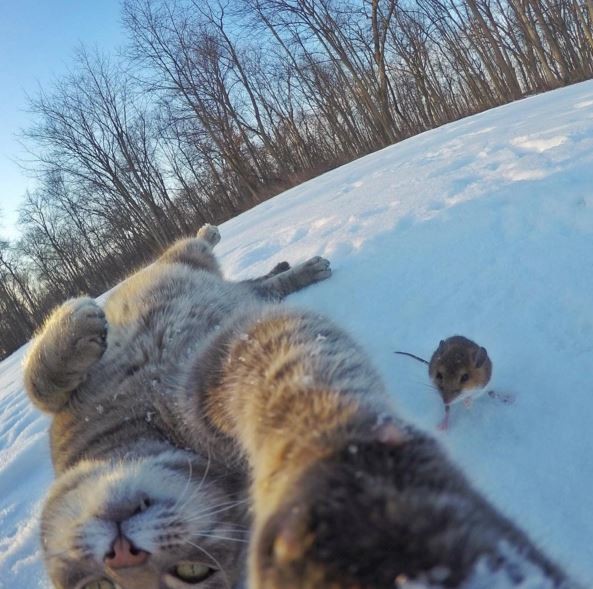 Game of Thrones'un 6.sezonundan kareler 10