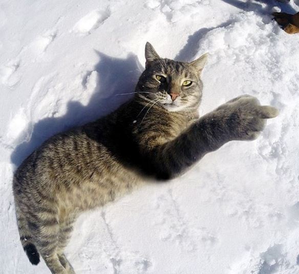 Game of Thrones'un 6.sezonundan kareler 1