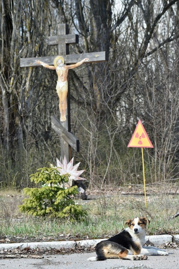 30'uncu yılında Çernobil kazası 11