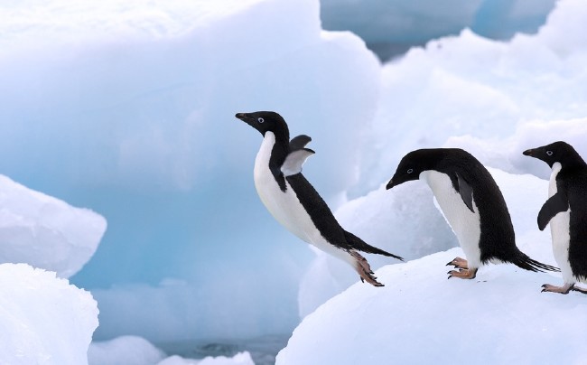 Dünyanın en ünlü 1 Nisan şakaları 9