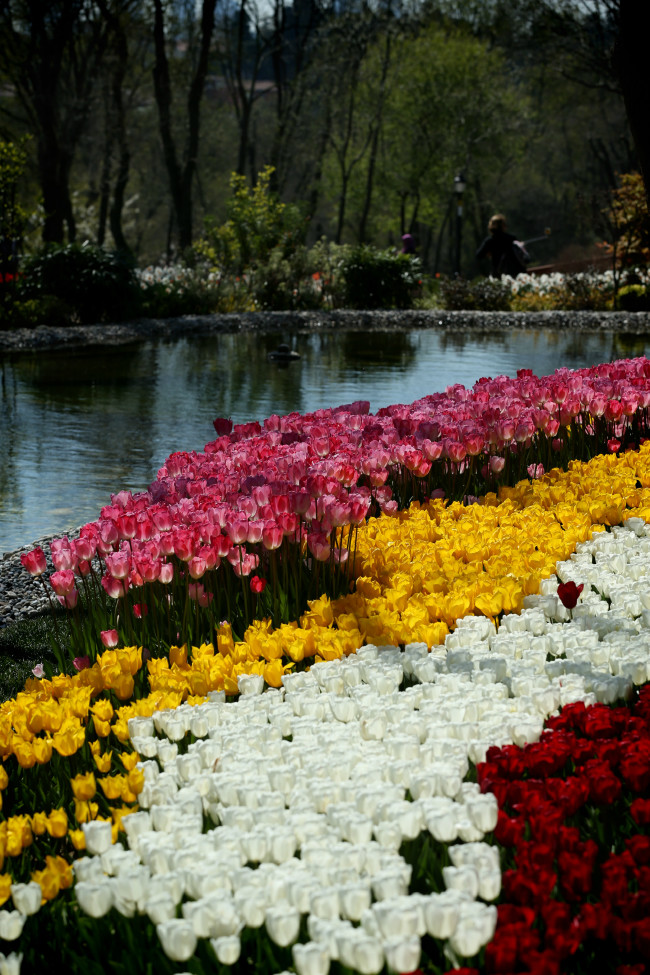 İstanbul yeniden lalelerle buluştu 13