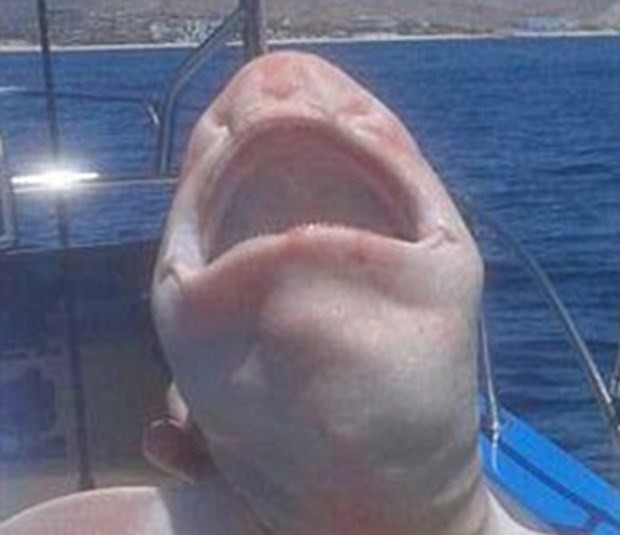 Balıkçılar buldu, şaşkınlık yarattı 1