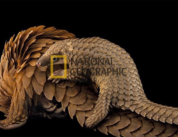 Bilim için soyundular 1