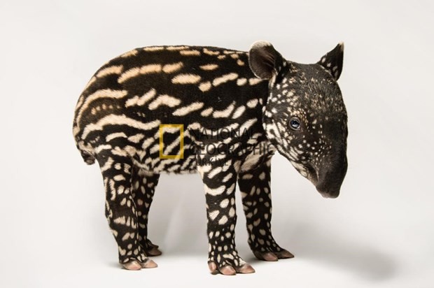 Bilim için soyundular 10