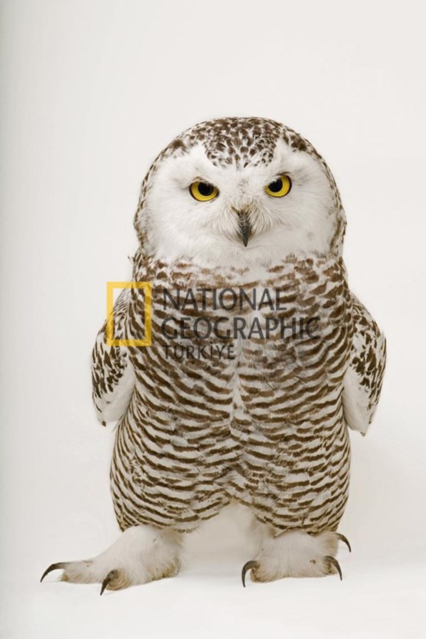 Bilim için soyundular 11