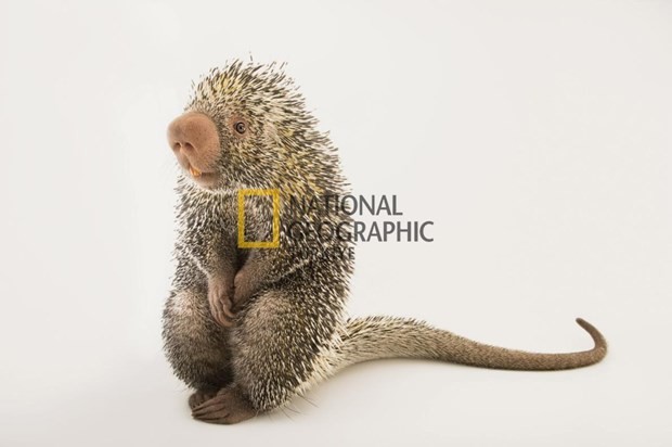 Bilim için soyundular 12