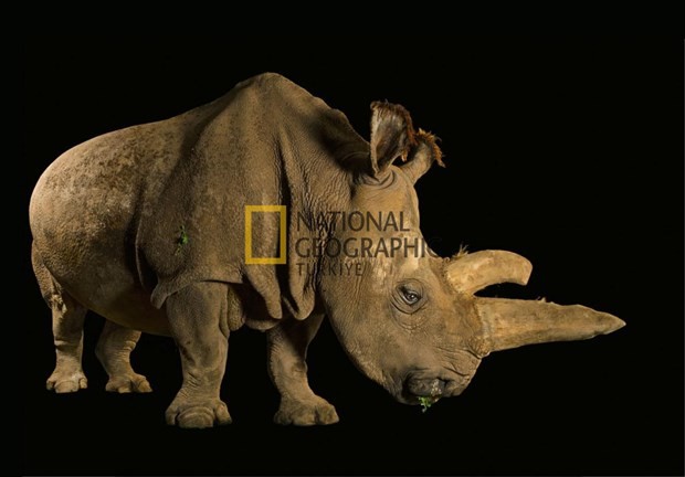 Bilim için soyundular 9