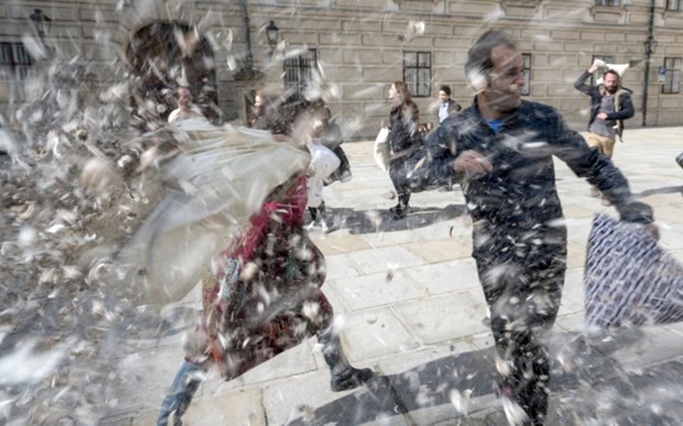 "Dünya Yastık Savaşı Günü" 11