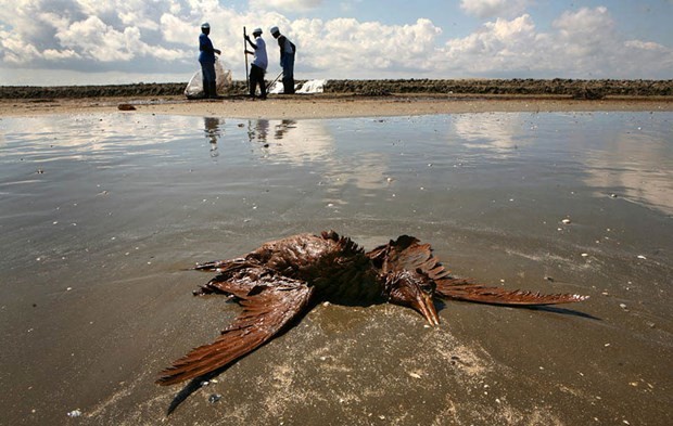 Çevre felaketinde BP’nin cezası belli oldu 6