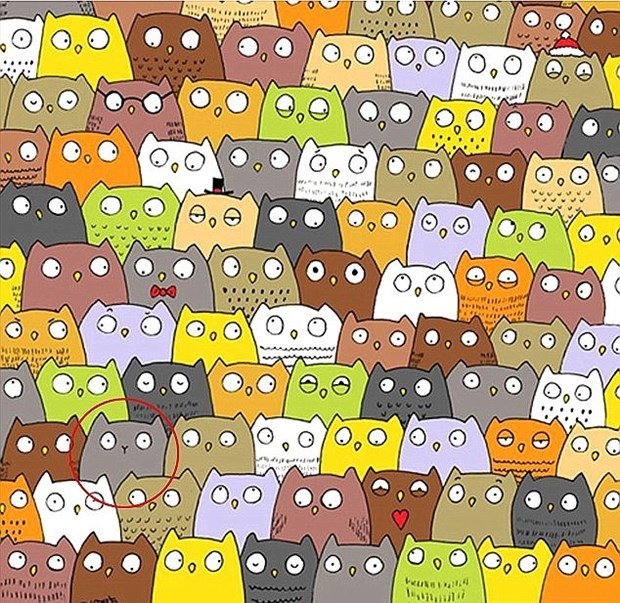 Göz yanılgılarına bir yenisi daha eklendi 14