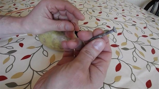 Hayrete düşüren deney 13