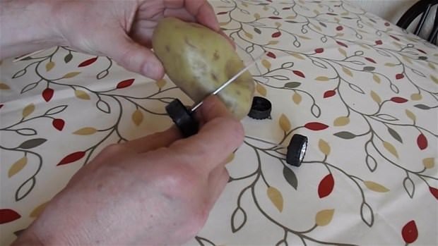 Hayrete düşüren deney 19