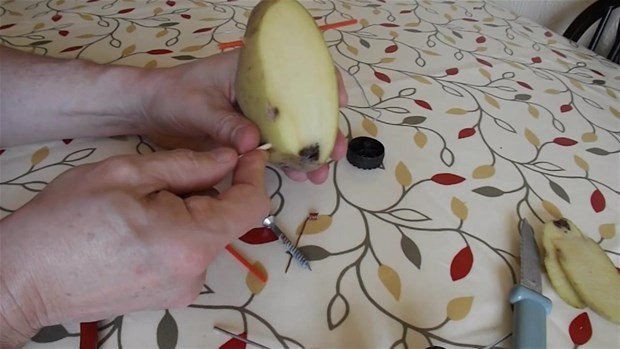 Hayrete düşüren deney 29