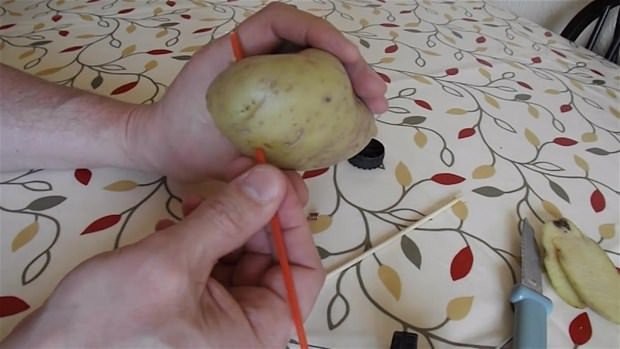 Hayrete düşüren deney 30