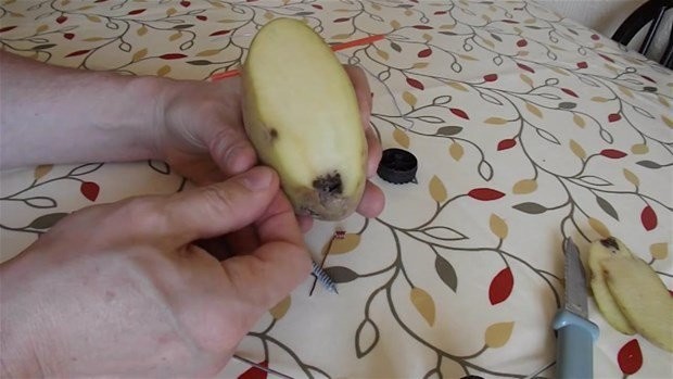 Hayrete düşüren deney 31