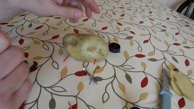 Hayrete düşüren deney 33